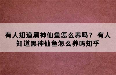 有人知道黑神仙鱼怎么养吗？ 有人知道黑神仙鱼怎么养吗知乎